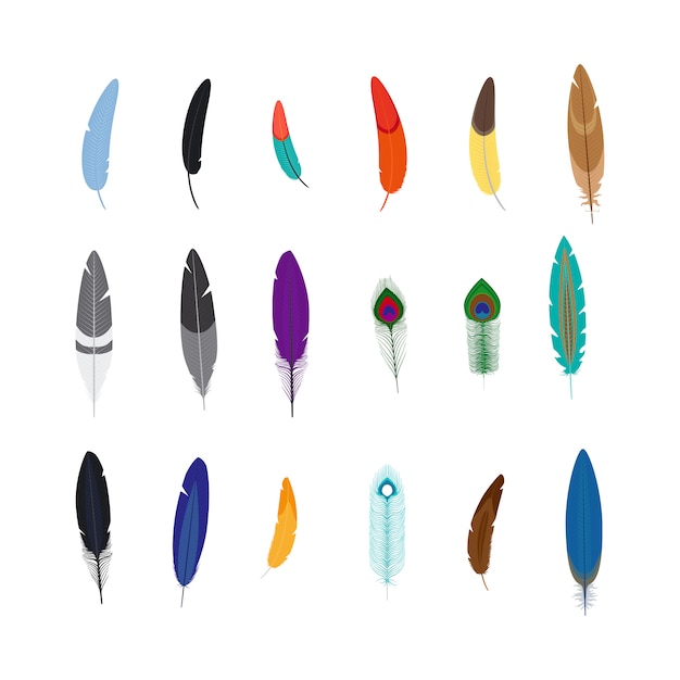 Vector vector decorative feathers set