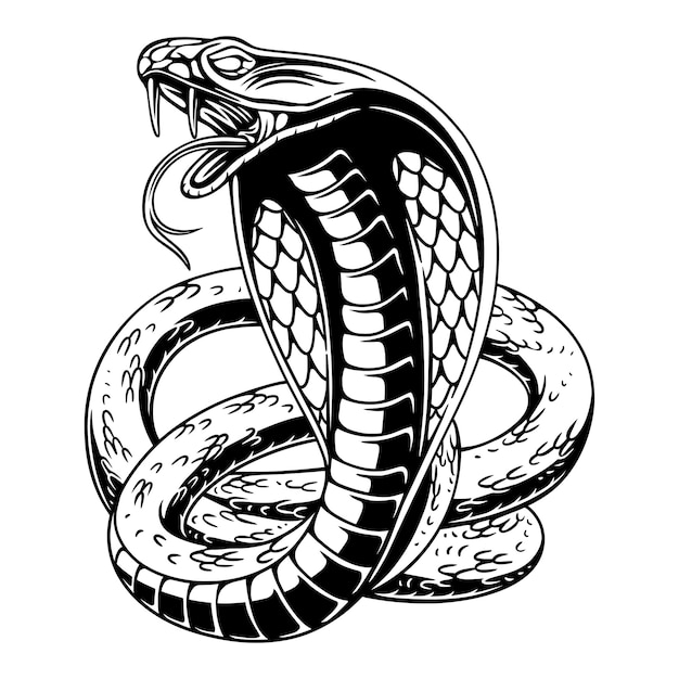 円の背景の黒と白のイラストとベクター デザイン怒っているコブラ
