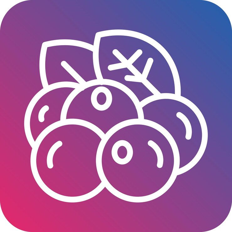 Vector vector design berries icon style