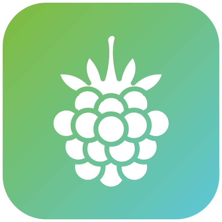 Vector vector design blackberry icon style