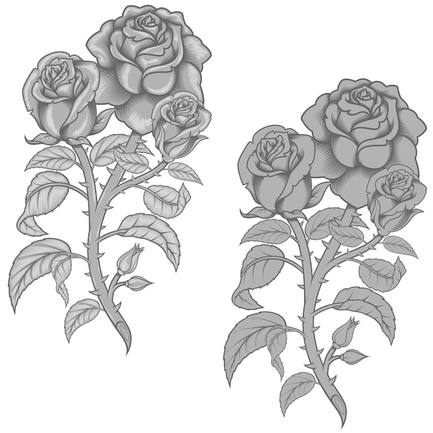 Vector design of a bouquet of flowers in grayscale color