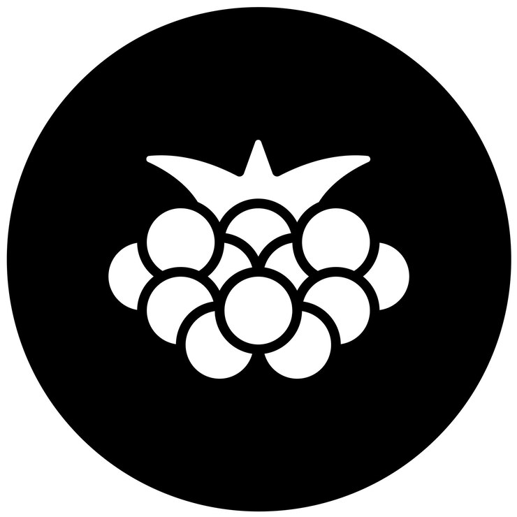 Vector vector design boysenberry icon style