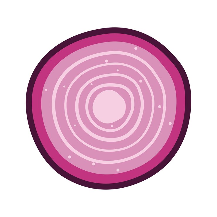Vector vector design of circle sliced of fresh raw red onion food vegetable