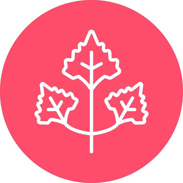 Vector Design Coriander Icon Style