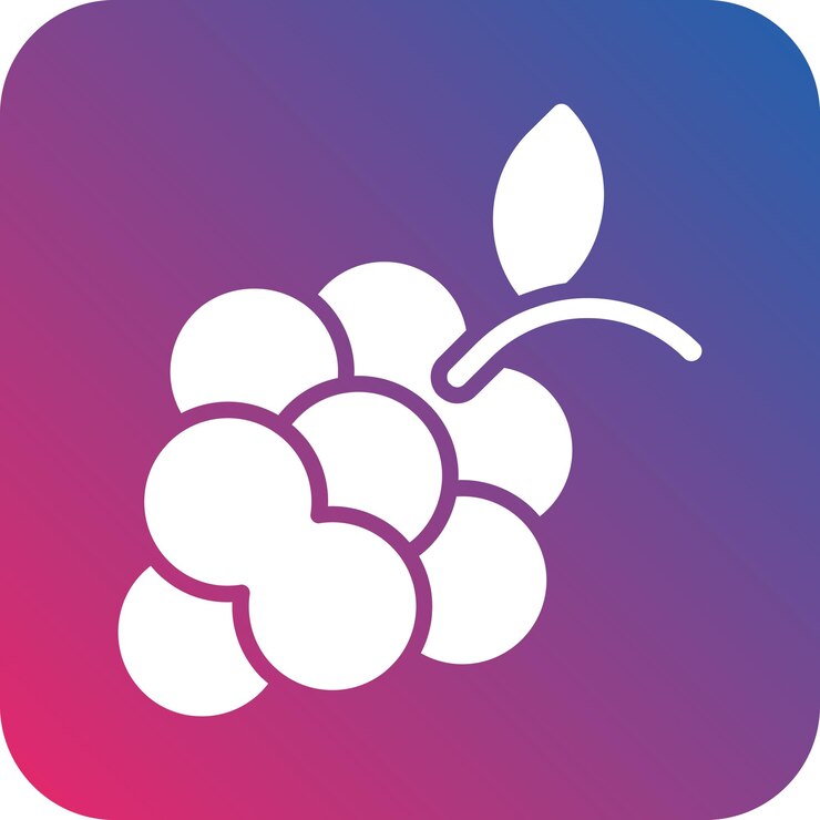 Vector vector design grapes icon style