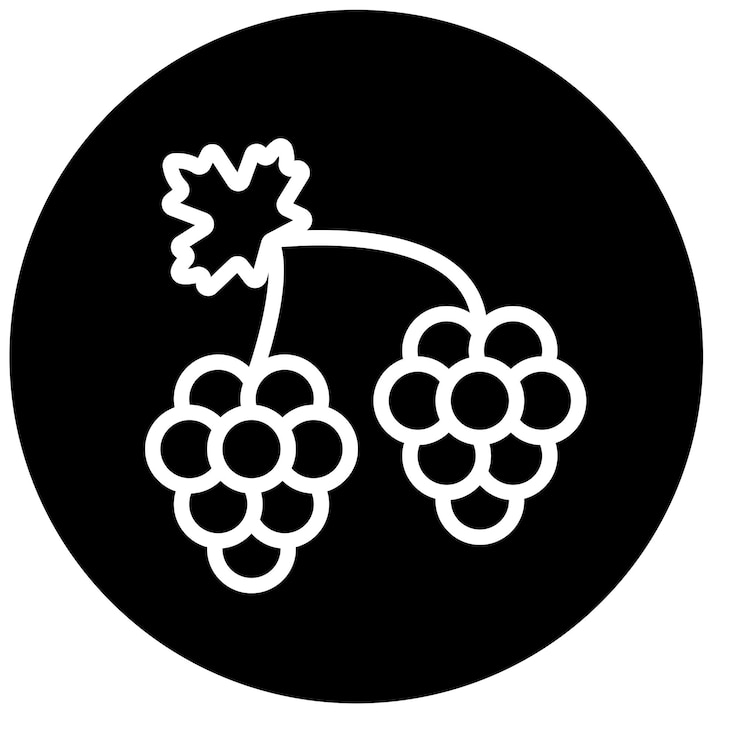 Vector vector design grapes icon style