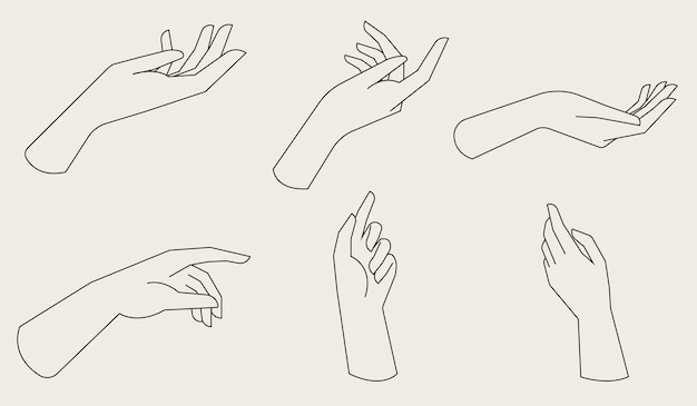 Vector design linear template hand logo