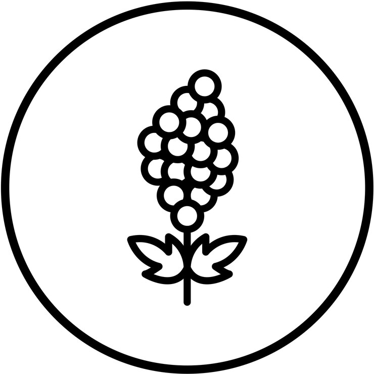 Vector vector design quinoa quest icon style