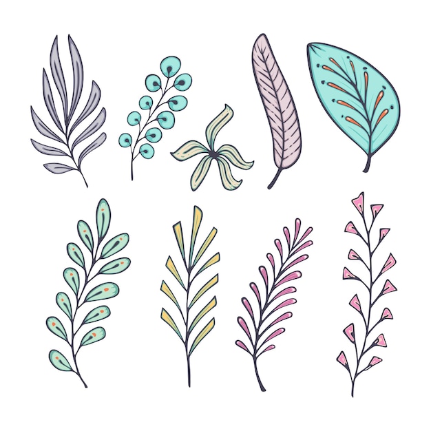 Vector vector design set of ornament leaf plants