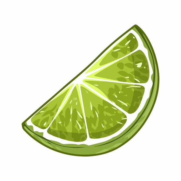 Vector vector design of slice of lime