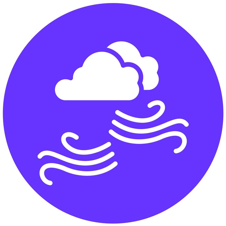 वेक्टर vector design wind icon style