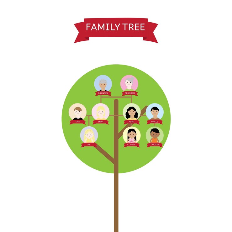 Vector vector diagram showing three generation family tree