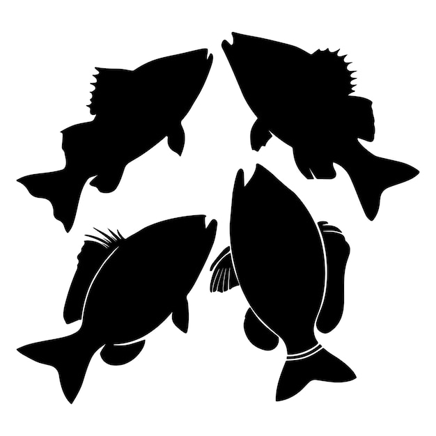 Vector vector different fish black silhouette isolated on white background