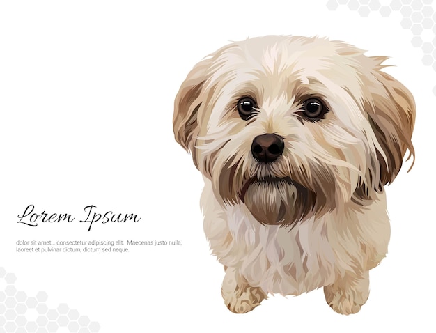 vector dog breed havanese wall decor ideas