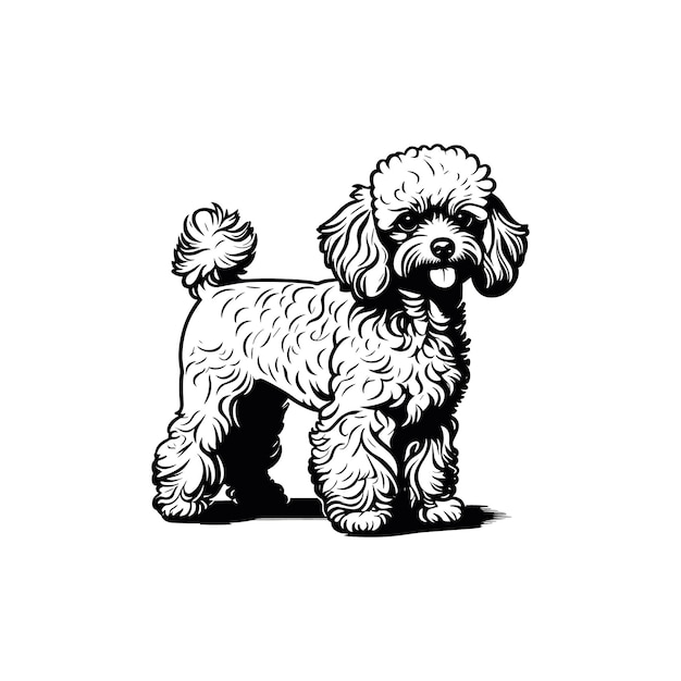 Vector dog breed yorkshire terrier sketch hand drawn in engravingvector illustration