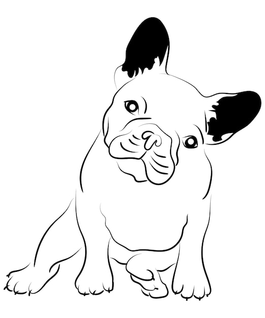 Vector vector dog illustration line art design