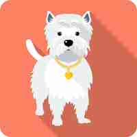 Vector vector dog west highland white terrier standing icon flat design