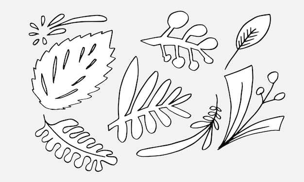 Vector doodle bladeren ingesteld voor conceptontwerp