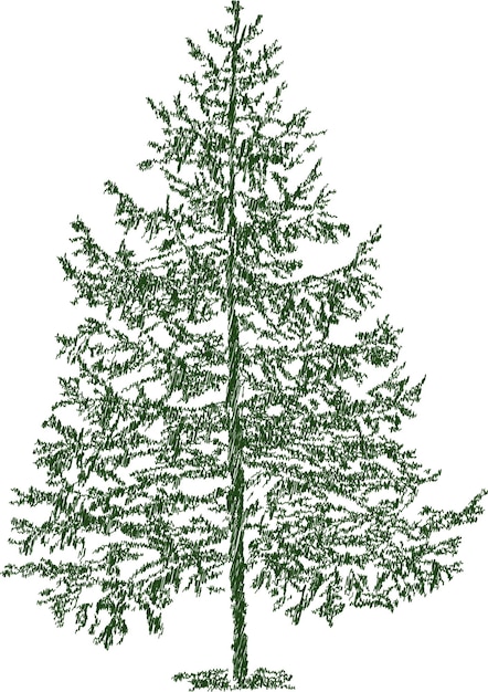 Vettore disegno di doodle di vettore dell'albero di abete verde astratto della siluetta