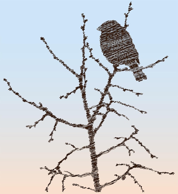 Vector vector doodle drawing of sparrow sitting on tree branch on winter day