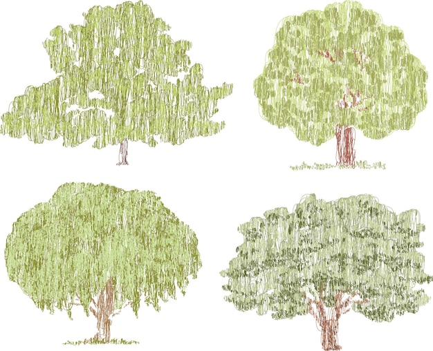 Vector doodle drawings of various deciduous trees in summer