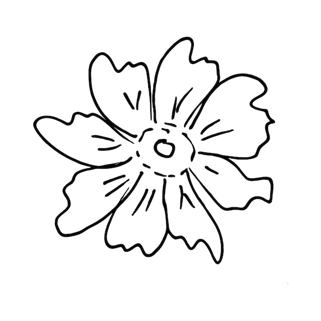 Vector doodle flower on white background Isolated linear floral element for coloring page