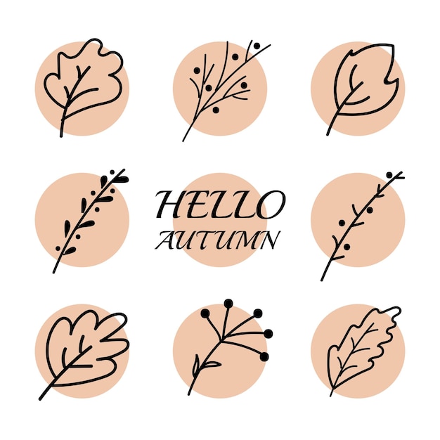 Vector vector doodle hello autumn leaves set set of icons