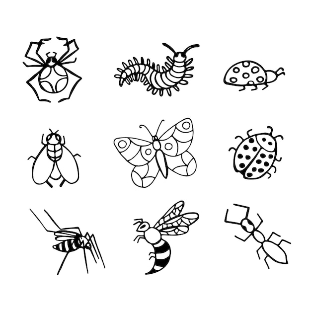 Vector doodle set of hand drawn insects