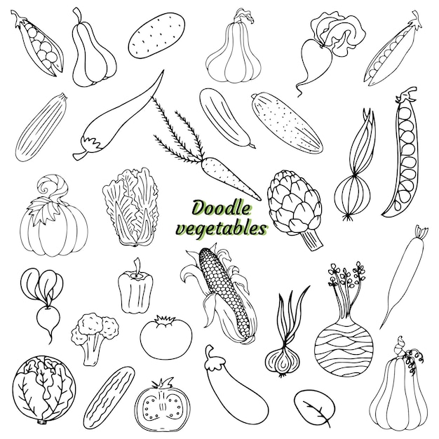 Vector doodle set met groenten