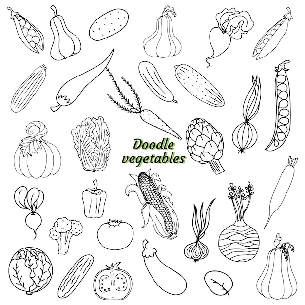 Vector doodle set with vegetables