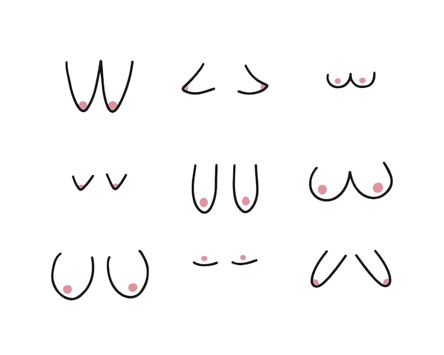 Different Shapes Of Breast, Women Breast, Vector Illustration