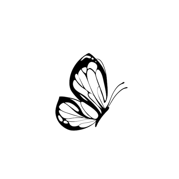 vector drawing of a beautiful butterfly
butterfly tattoo