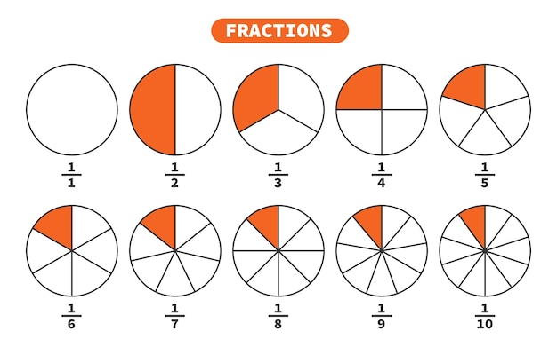 Vector vector drawing of fractions worksheet