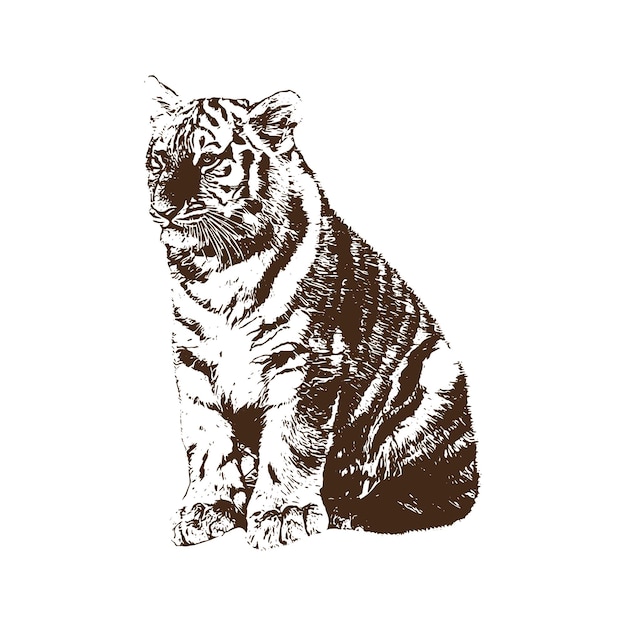 vector drawing illustration black and white engrave isolated illustration