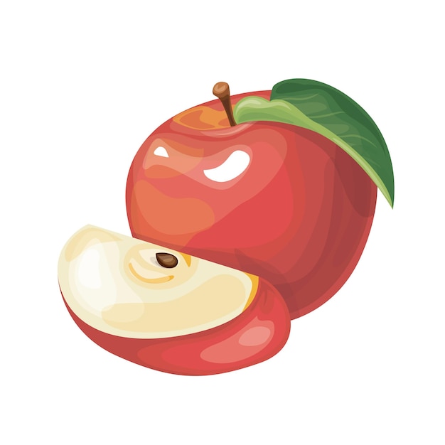 Vector drawing of a red apple on a white background Whole apple and half