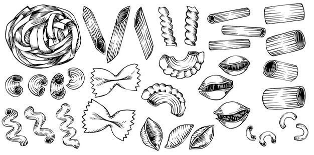 vector drawing in sketch style vintage set of types of pasta italian food pasta