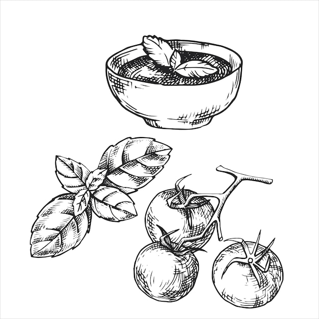 векторный рисунок, эскиз. томатный соус с помидорами и базиликом. Грузинская кухня, национальная кухня.