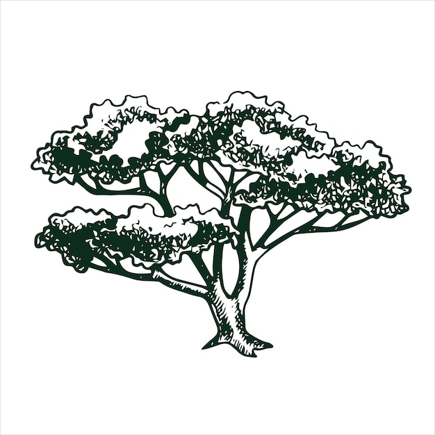 Vettore disegno vettoriale di un albero in stile incisione illustrazione d'albero vintage schizzo in bianco e nero