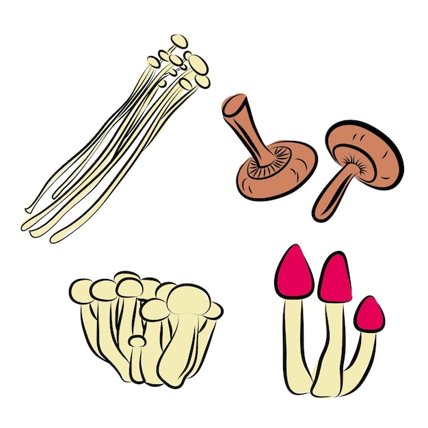 Vector drawn mushrooms set.