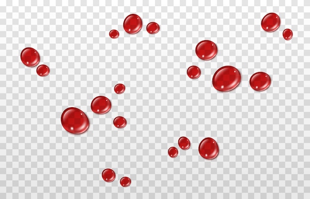 Vector drops of red blood drops Drops of blood PNG red paint or blood on the surface