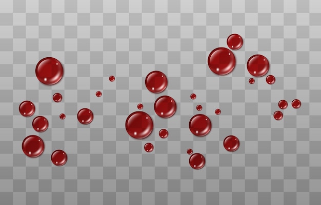 Vector druppels rode bloeddruppels Druppels bloed rode verf of bloed op het oppervlak Realistische druppels