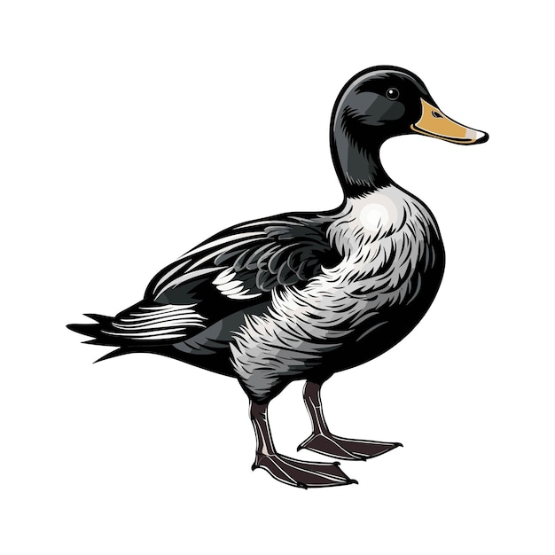 Vector vector duck isolated on white background