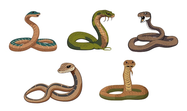 Vector vector een illustratie van een cobra-reptiel dat zijn hoofd omhoog houdt eenvoudige hand getrokken stijlillustratie