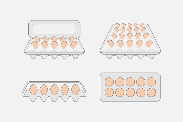 Vector egg boxes with chicken eggs