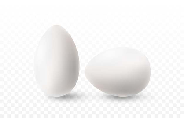 Vector vector egg png realistic white egg on isolated transparent background easter holiday