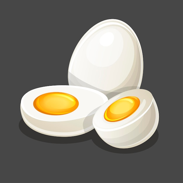 Vector vector egg whole and two half on gray background