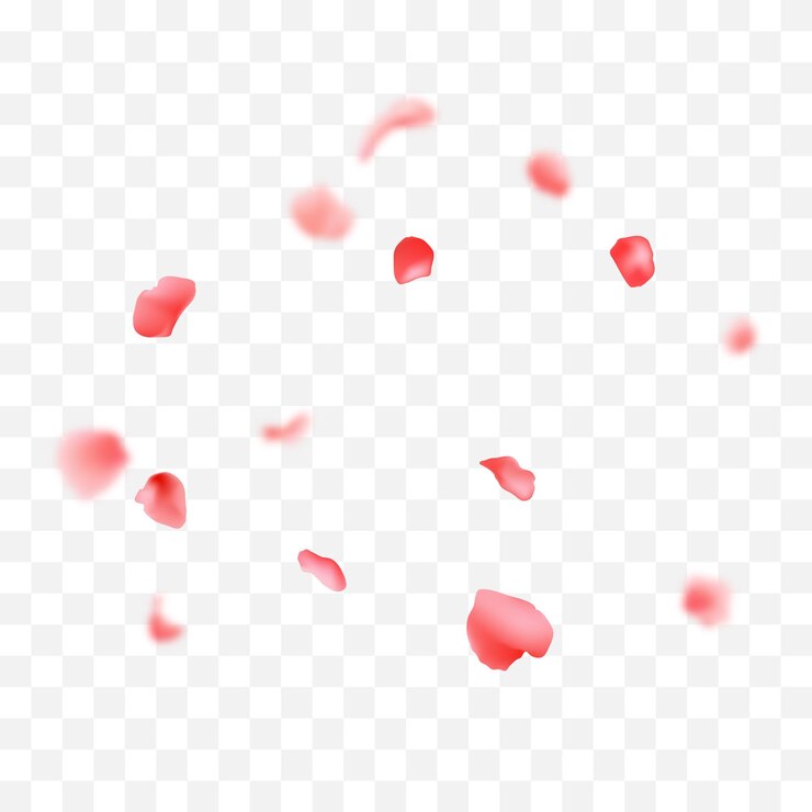 Vector ベクトル落ちるバラの花びら背景ベクトル デザイン 3 d イラスト