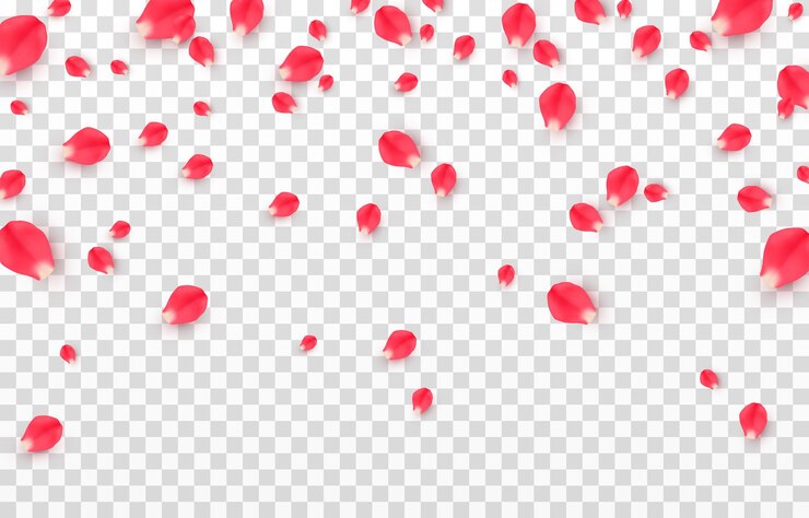 Vector vector falling rose petals png. falling rose petals png. red petals png. falling petals png.