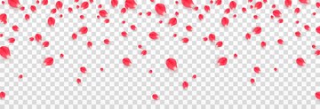 Falling rose petals on a transparent background (777898)