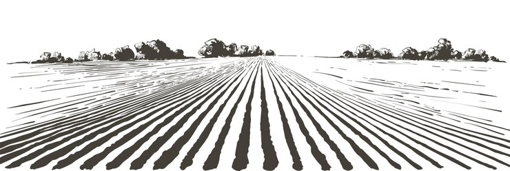 Vector vector farm field landscape furrows pattern in a plowed prepared for crops planting vintage realistic engraving sketch illustration
